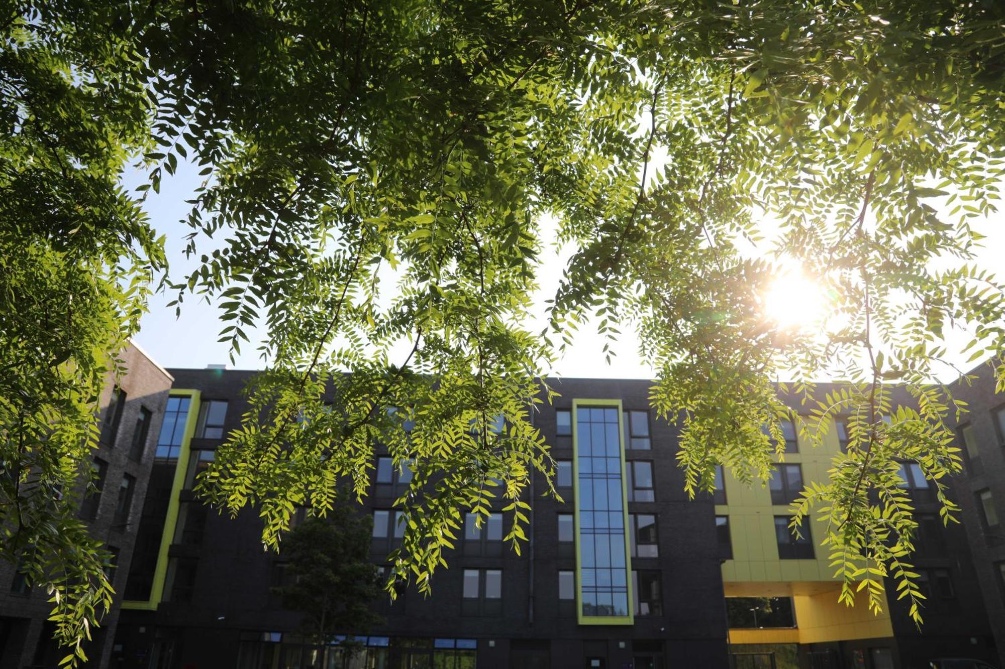 Goldcrest Village Rooms University Of גלוואיי מראה חיצוני תמונה